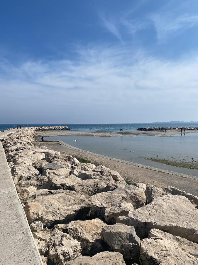 50M Plage / 200M Hippodrome 2 Pieces Jardin Garage Cagnes-sur-Mer Ngoại thất bức ảnh
